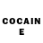 COCAIN Fish Scale wold z