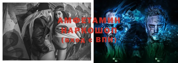 прущие грибы Алзамай