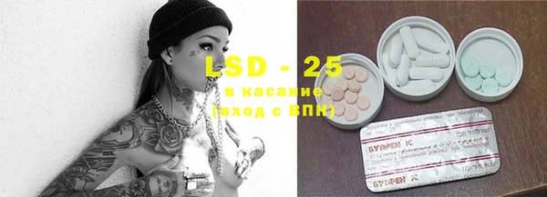 прущие грибы Алзамай