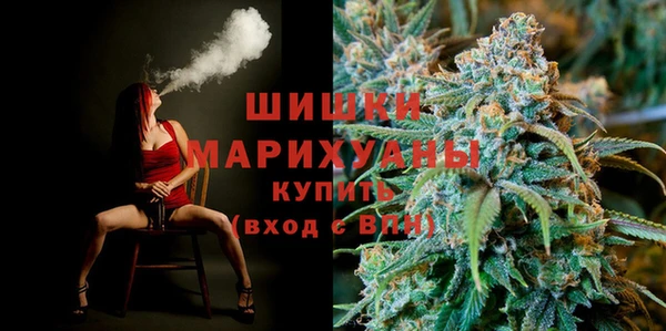 прущие грибы Алзамай