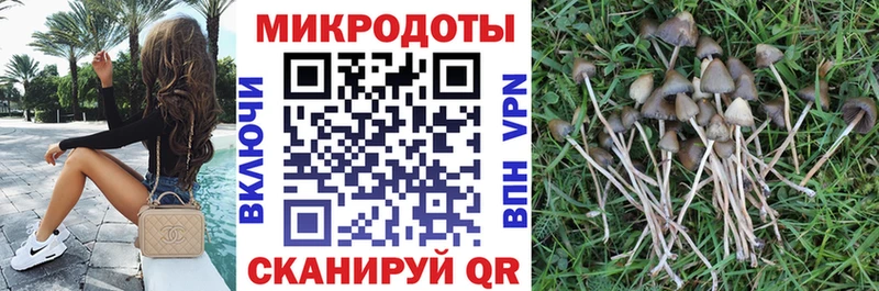 Псилоцибиновые грибы ЛСД  что такое   Неман 